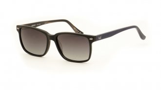 WE 3079 Black Blue Polarized